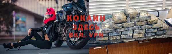 прущие грибы Баксан