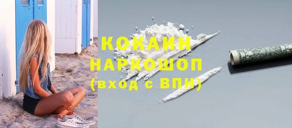 прущие грибы Баксан