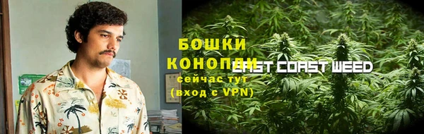 прущие грибы Баксан