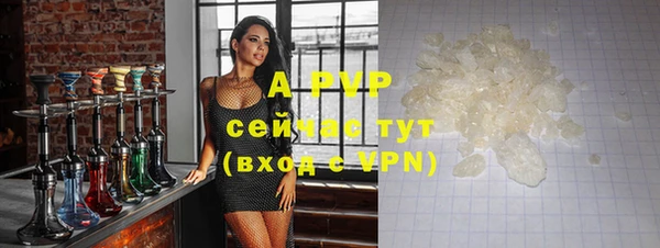 прущие грибы Баксан