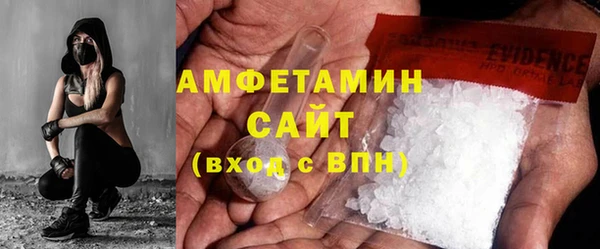 прущие грибы Баксан